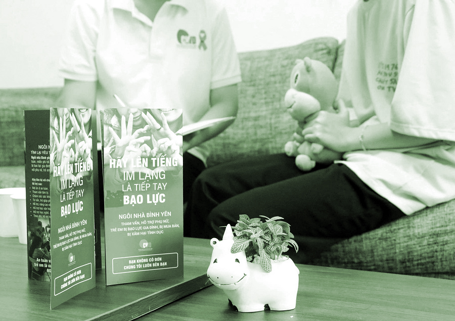 Bạo lực gia đình còn nhiều phức tạp - ảnh 2