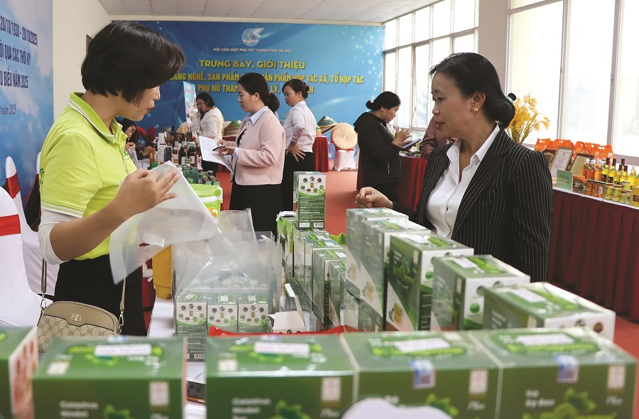 Phụ nữ tham gia xây dựng nông thôn mới, đô thị văn minh - ảnh 2