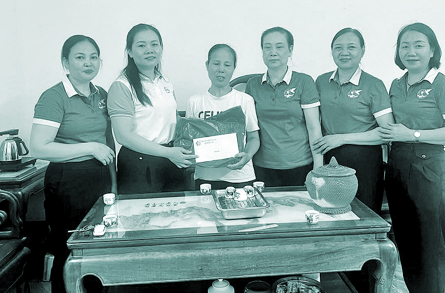 Nữ Bí thư chi bộ tận tâm với phong trào phụ nữ - ảnh 2