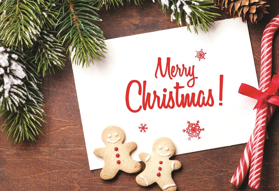 Trang trí không gian và tặng quà Giáng sinh - ảnh 1