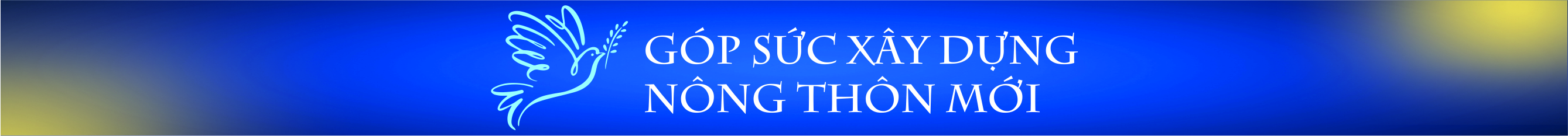 Tấm gương Chủ tịch Hội phụ nữ cơ sở năng động, sáng tạo - ảnh 3