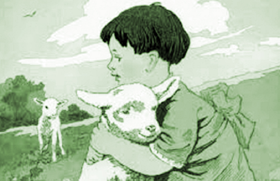 Tiểu Hắc và Tiểu Bạch - ảnh 1