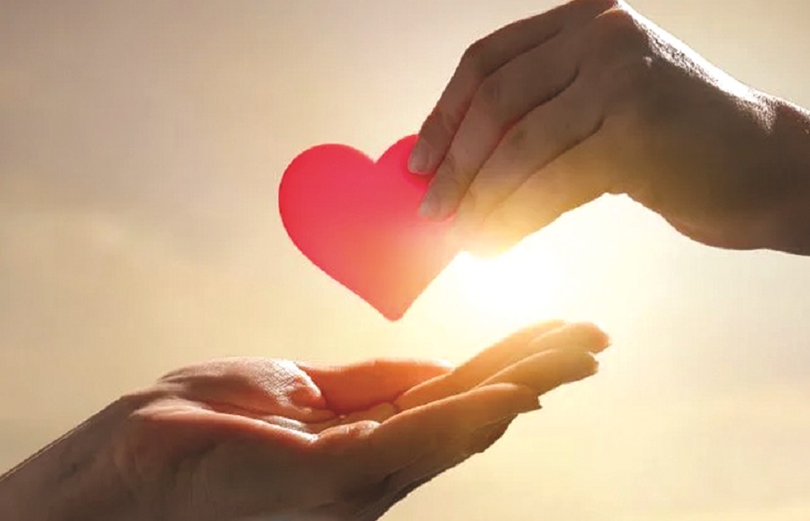  “Tuyệt chiêu” cuối cùng - ảnh 1