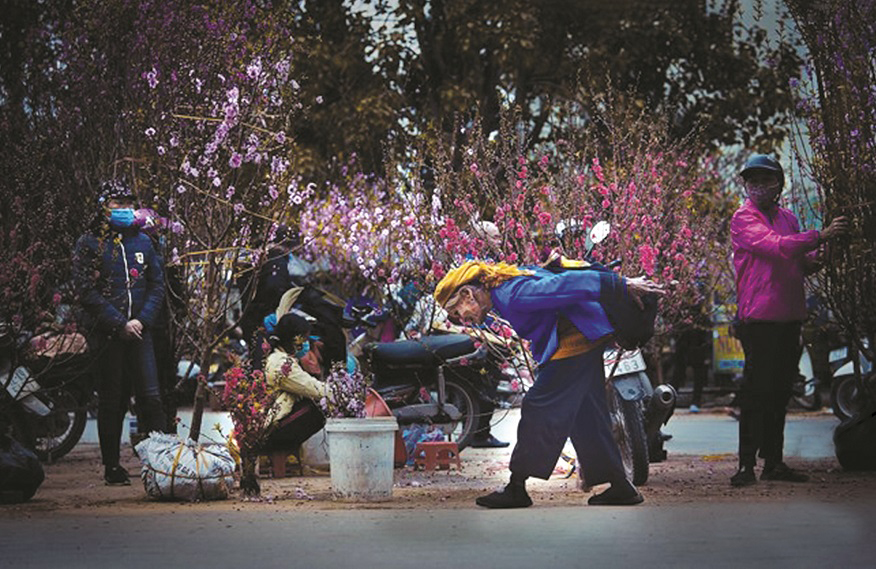 Mong xuân để về - ảnh 1