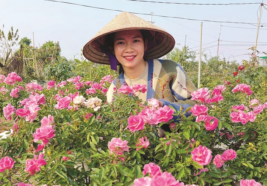 Tết về trên “thủ phủ” hoa Hà Nội - ảnh 1