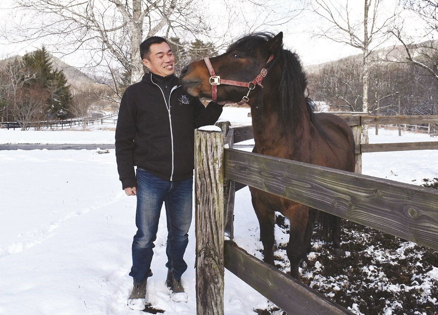 Thông điệp của năm con Ngựa - ảnh 2