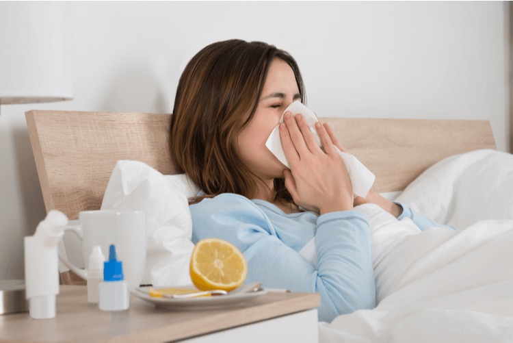 Bật mí loại thảo dược quý sẽ giúp đường hô hấp khỏe mạnh hơn khi dùng điều hòa - ảnh 1