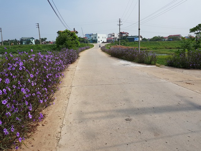  Thành quả xây dựng nông thôn mới tạo nên được những miền quê Thủ đô đáng sống - ảnh 1