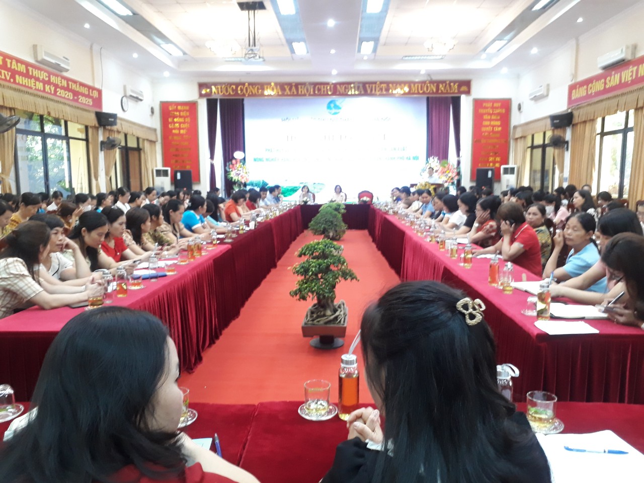 Phát triển sản xuất nông nghiệp hàng hóa ứng dụng công nghệ cao - ảnh 4
