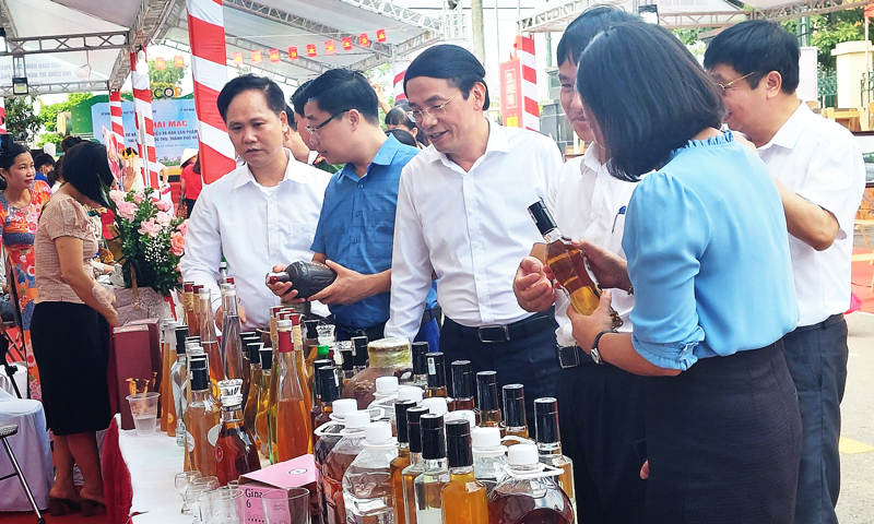 Tuần hàng tư vấn, giới thiệu sản phẩm OCOP TP Hà Nội năm 2022 - ảnh 1