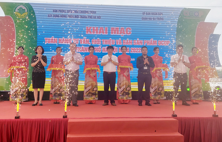 Khai mạc Tuần hàng tư vấn, giới thiệu sản phẩm tại Công viên Thống nhất - ảnh 1