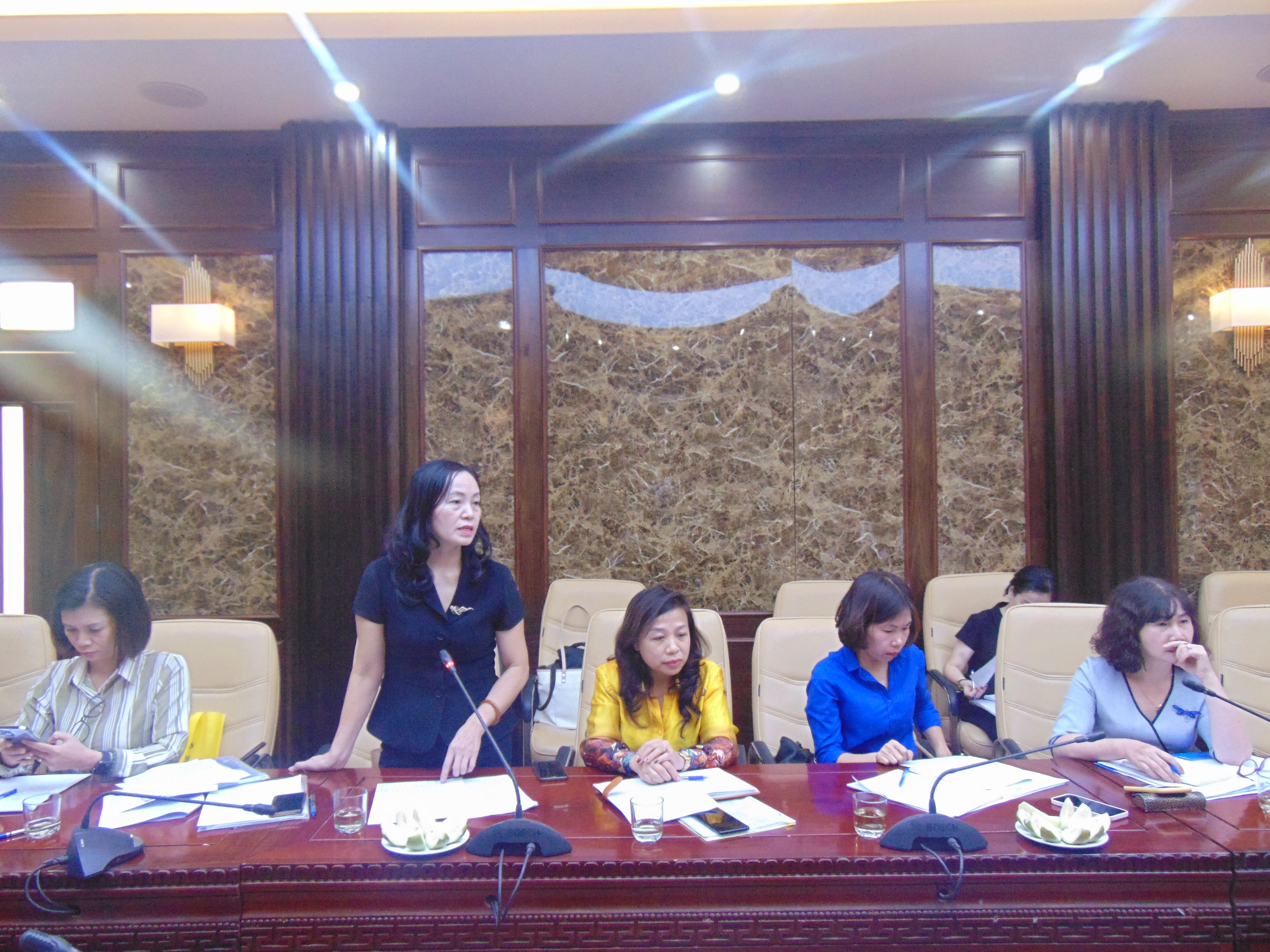 Hội LHPN Hà Nội giám sát việc thực hiện quy định pháp luật về bình đẳng giới trong lĩnh vực lao động - ảnh 2