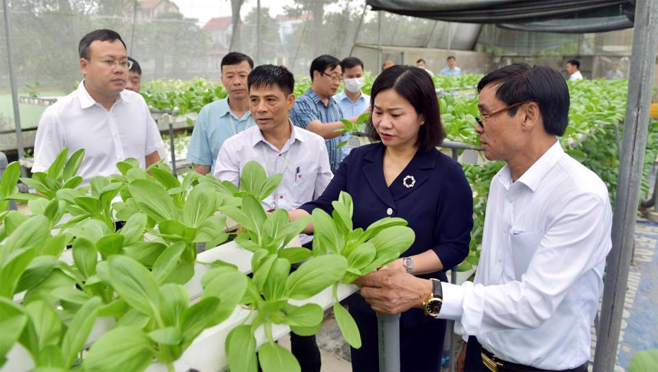 10 sự kiện tiêu biểu của Thủ đô Hà Nội năm 2022 - ảnh 1