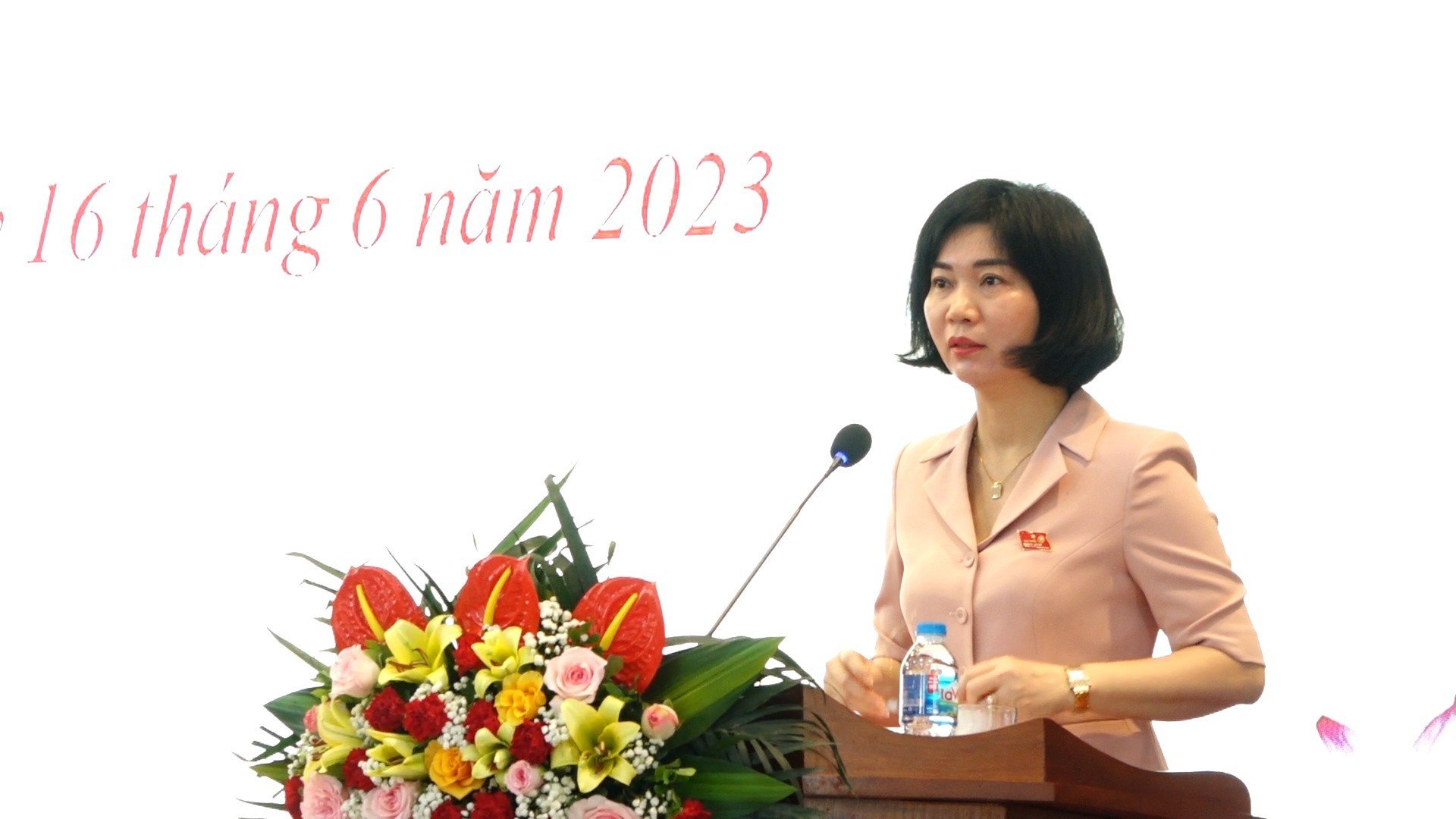 Cử tri huyện Thanh Oai kiến nghị vấn đề chính sách xã hội, quản lý đất đai xây dựng - ảnh 1