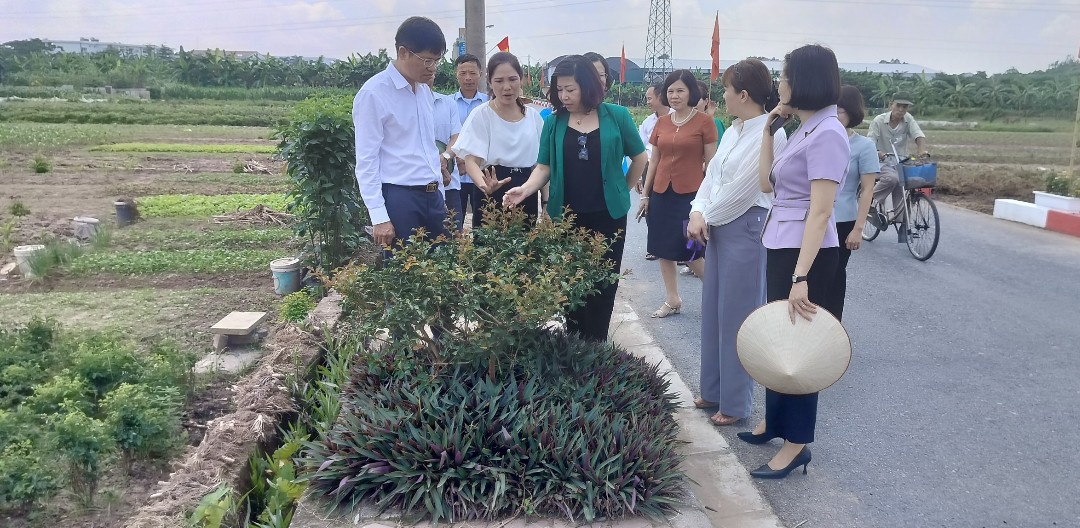 “Đoạn đường/tuyến phố nở hoa” giúp Hà Nội trở thành nơi đáng sống - ảnh 4