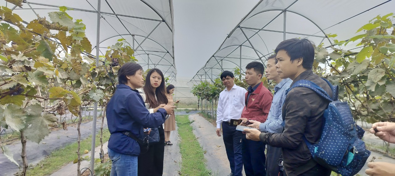 Phấn đấu xây dựng huyện Đan Phượng văn minh, giàu đẹp - ảnh 4