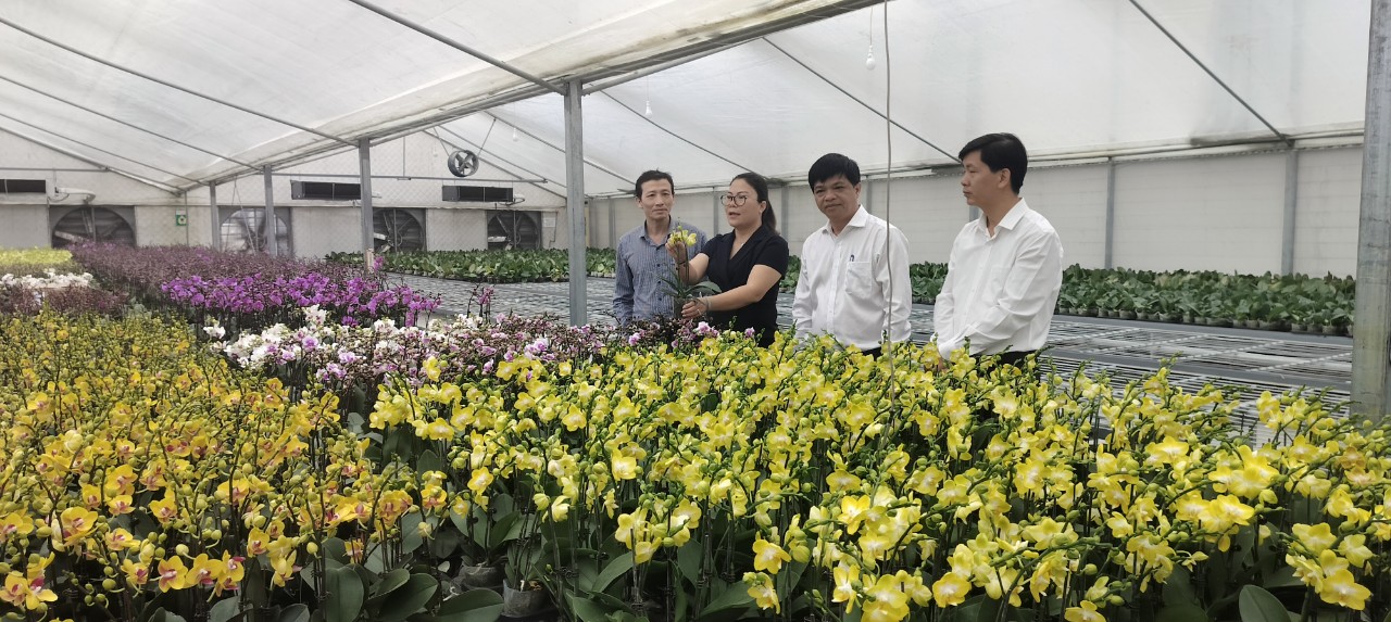 Phấn đấu xây dựng huyện Đan Phượng văn minh, giàu đẹp - ảnh 3