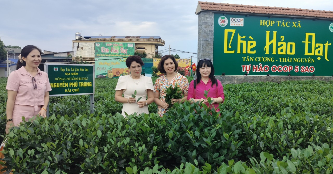 Báo chí Thủ đô thăm nơi ra đời Hội Nhà báo Việt Nam tại Định Hóa - Thái Nguyên - ảnh 7