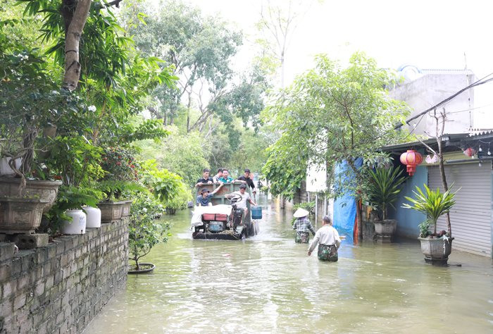 Chủ động ứng phó với diễn biến phức tạp của thời tiết - ảnh 1