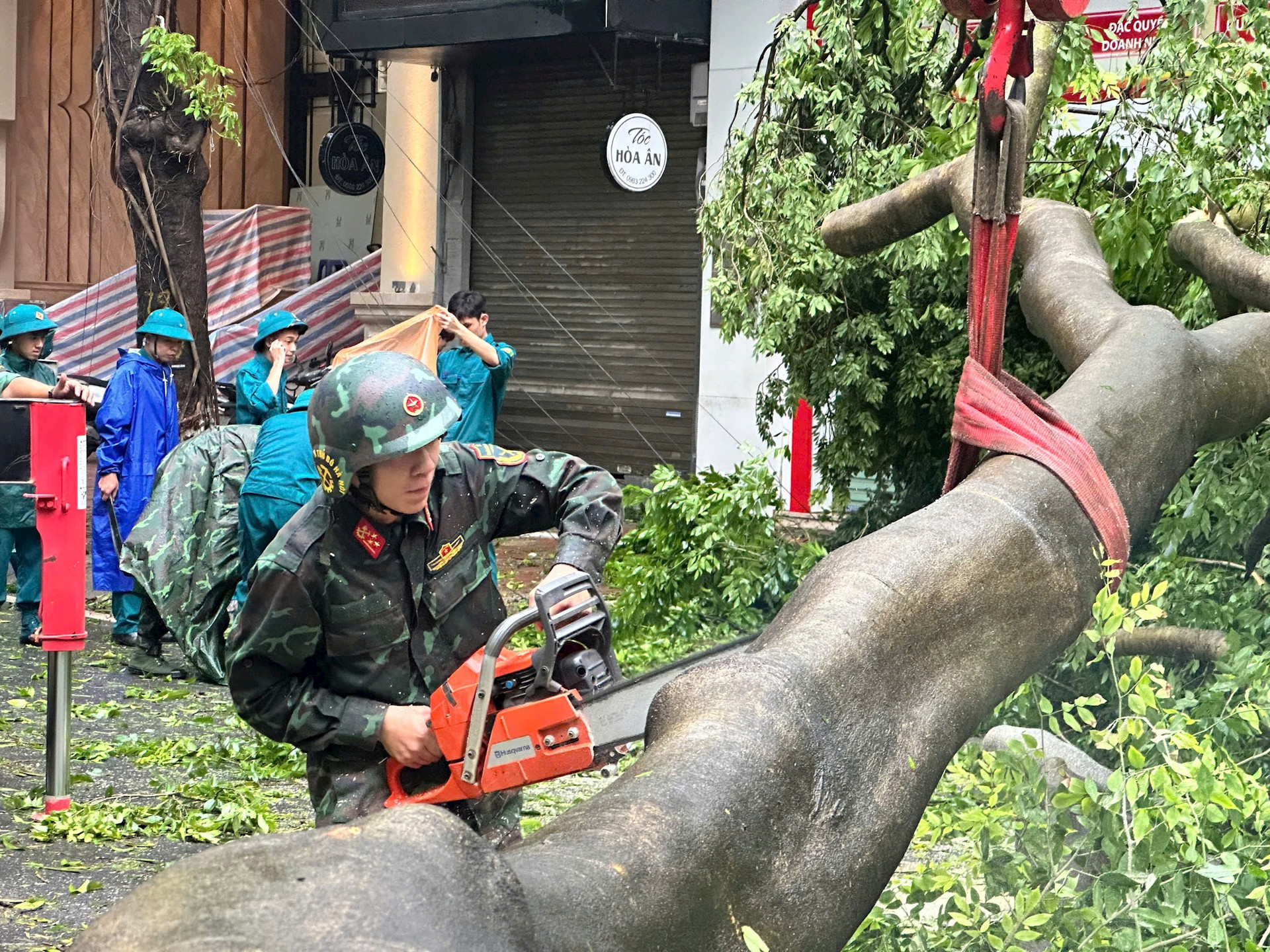 Trước ngày 20/9 sẽ thu dọn hết cây xanh gãy, đổ để chuyển sang giai đoạn “cứu” các cây - ảnh 1
