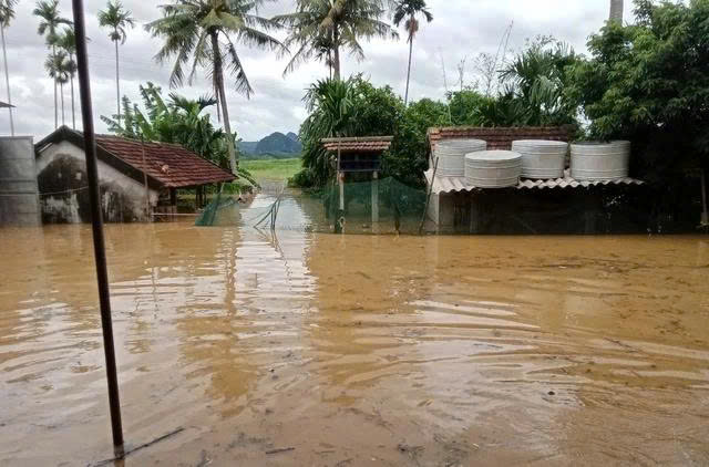 Bí thư Thành ủy Hà Nội Bùi Thị Minh Hoài gửi thư thăm hỏi, động viên toàn thể cán bộ, chiến sĩ và Nhân dân tỉnh Nghệ An - ảnh 2