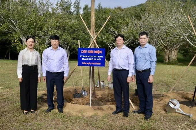 Đoàn đại biểu Cụm thi đua Ủy ban MTTQ Việt Nam các thành phố trực thuộc Trung ương dâng hoa, dâng hương tại đặc khu Côn Đảo - ảnh 2