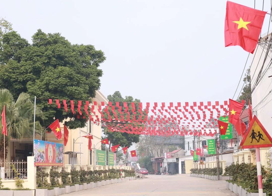 Xã đảo Minh Châu rực rỡ cờ hoa chào mừng Đại hội Đảng toàn quốc lần thứ XIV - ảnh 3