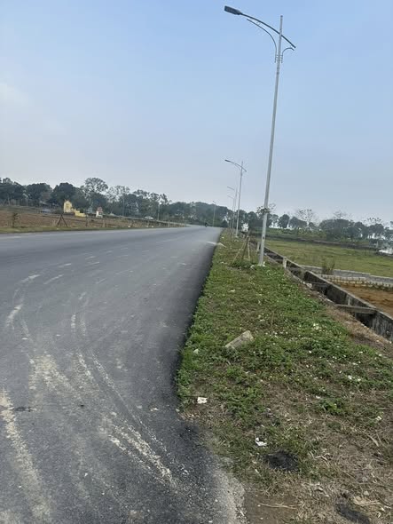 Hội LHPN xã Phúc Sơn trồng hoa tạo cảnh quan chào mừng Đại hội Đảng toàn quốc và mừng xuân Bính Ngọ 2026 - ảnh 4