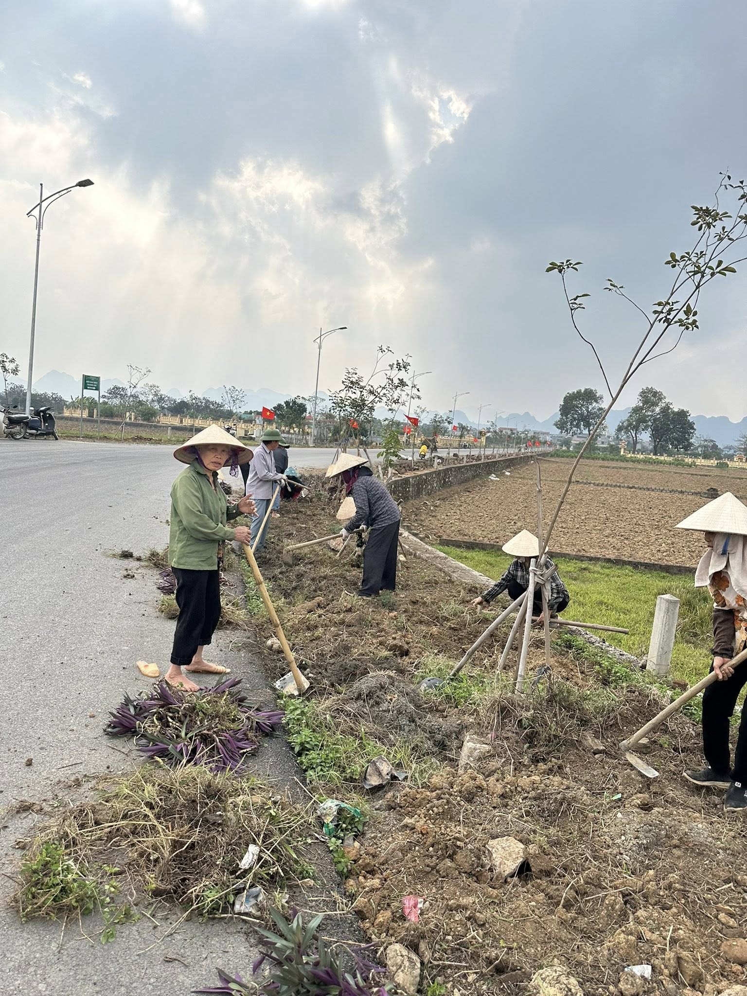 Hội LHPN xã Phúc Sơn trồng hoa tạo cảnh quan chào mừng Đại hội Đảng toàn quốc và mừng xuân Bính Ngọ 2026 - ảnh 3