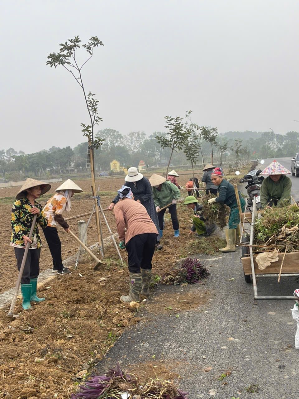 Hội LHPN xã Phúc Sơn trồng hoa tạo cảnh quan chào mừng Đại hội Đảng toàn quốc và mừng xuân Bính Ngọ 2026 - ảnh 2