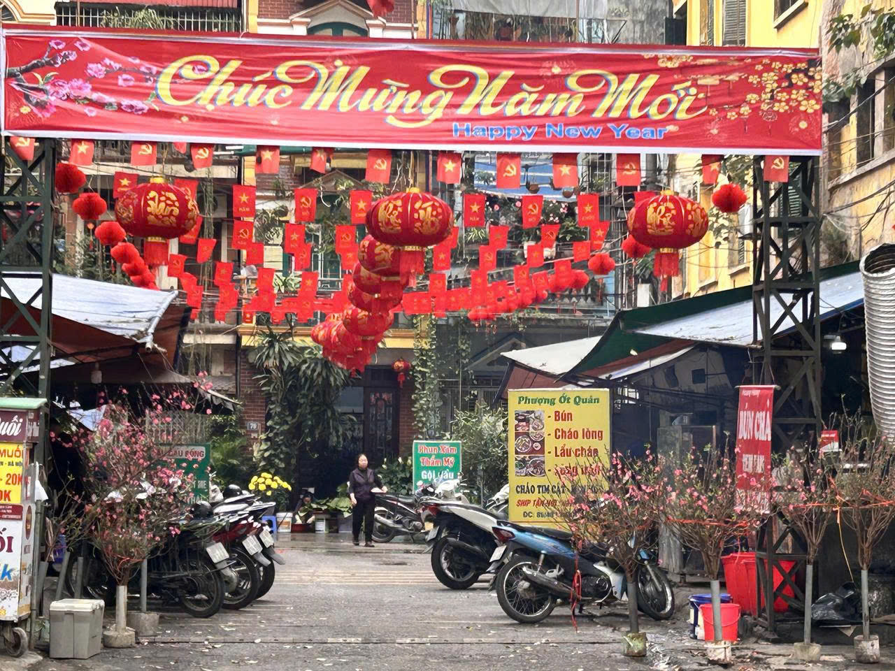 Hà Nội: Treo cờ Tổ quốc chào mừng Tết Nguyên đán Bính Ngọ - ảnh 2