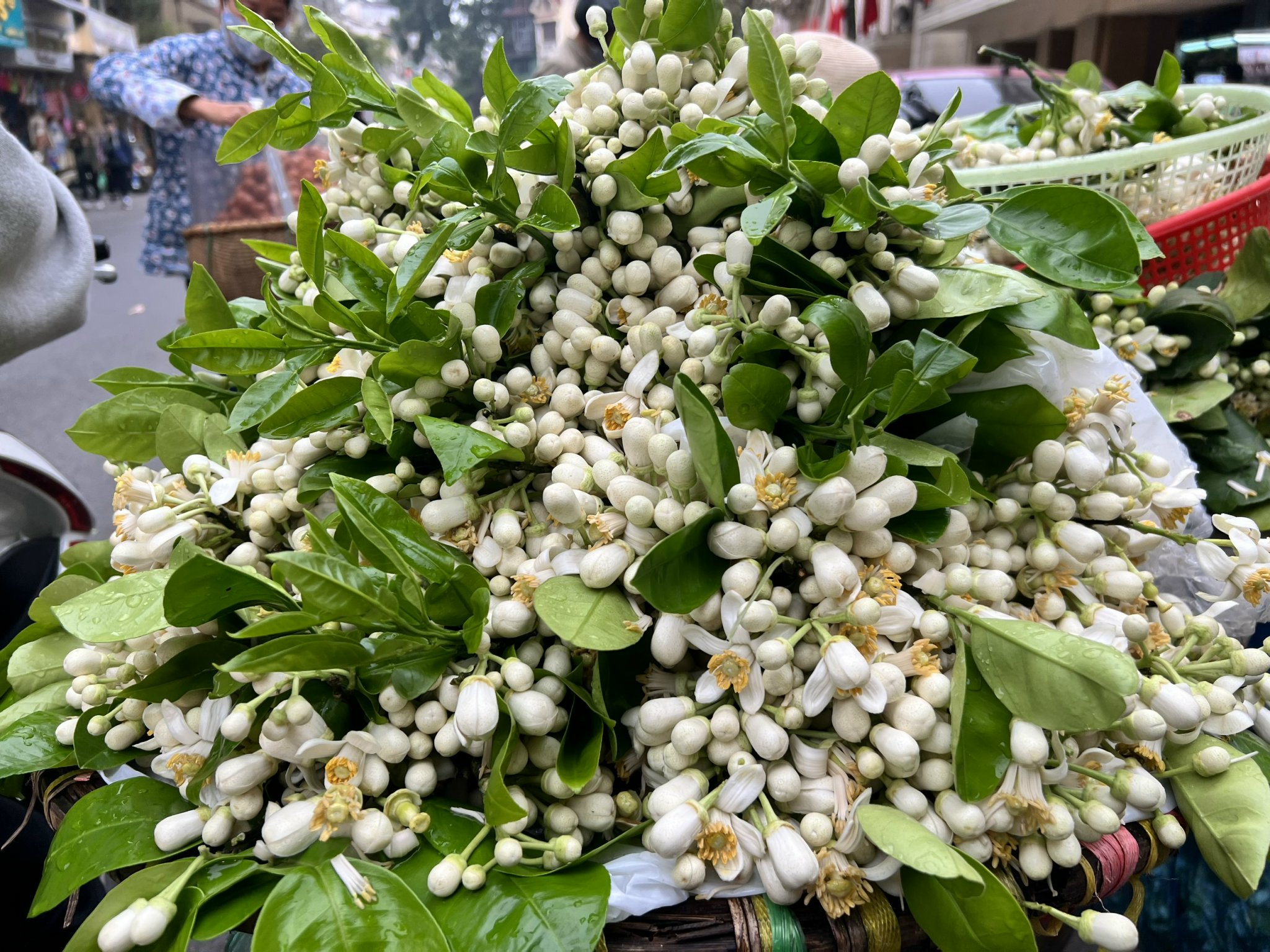 Hoa bưởi xuống phố với giá cao ngất ngưởng - ảnh 1