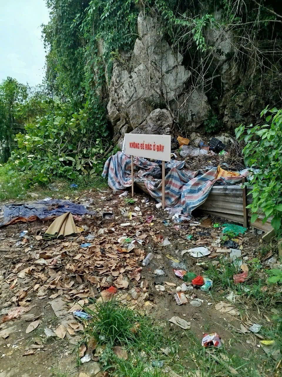 Hội Phụ nữ  xã Quốc Oai: Gắn biển công trình chào mừng Đại hội đại biểu Phụ nữ thành phố Hà Nội lần thứ XVII - ảnh 3