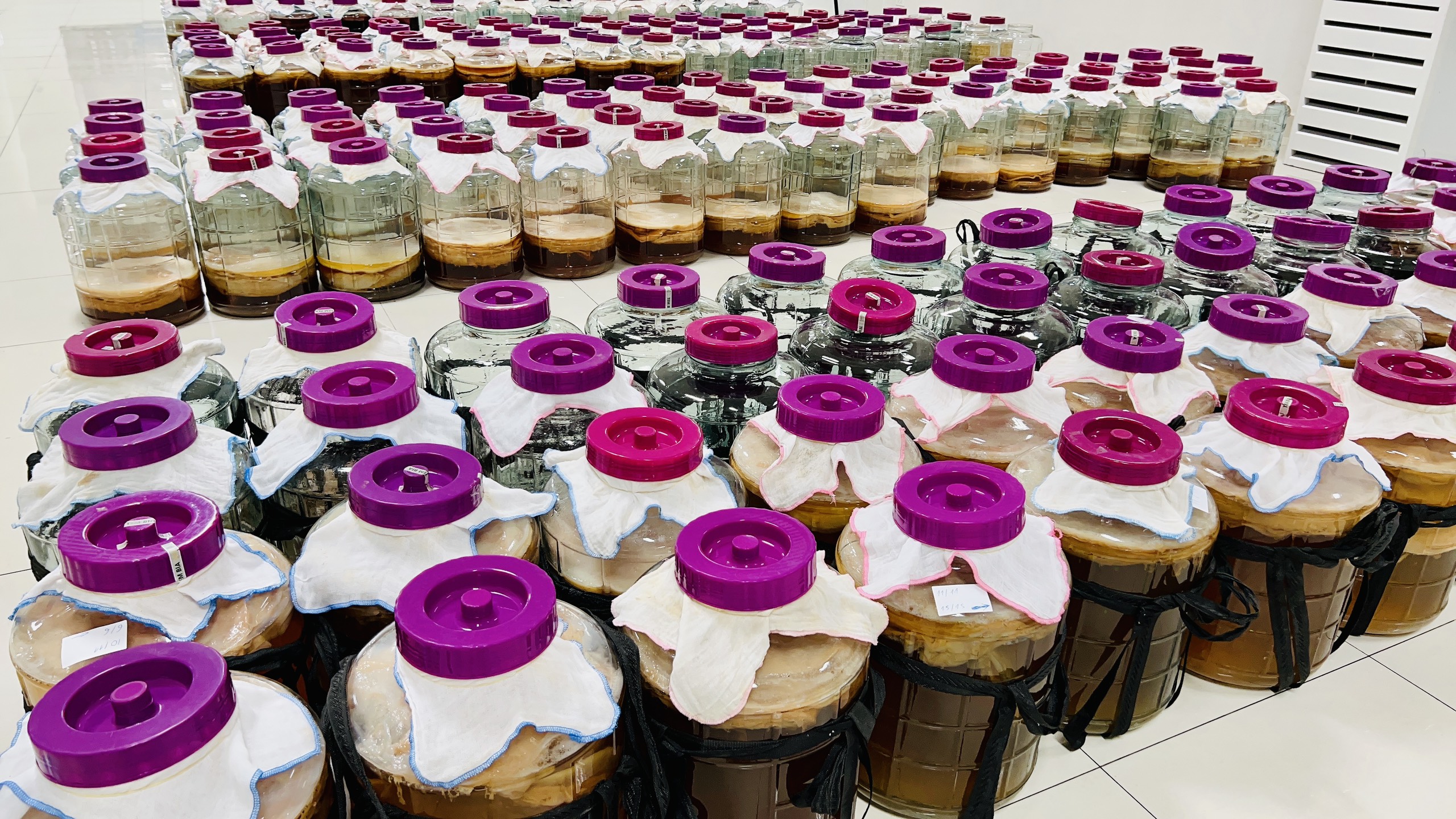 Trà lên men Kombucha “gây sốt” trong giới trẻ: Thực hư công dụng? - ảnh 2