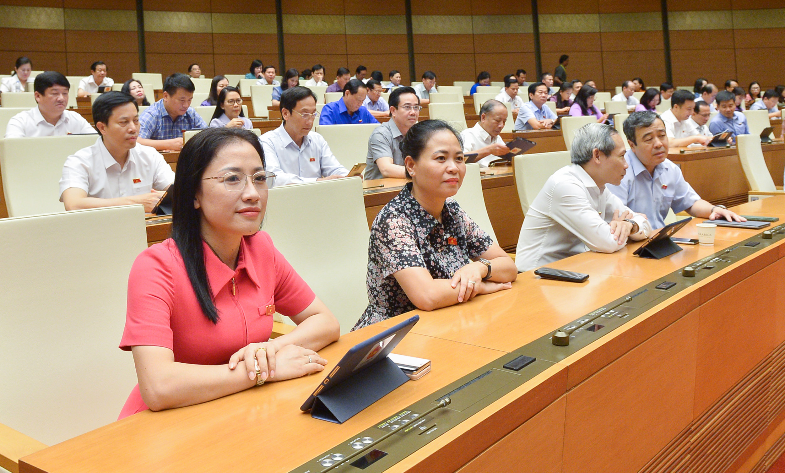 ĐBQH đề nghị bổ sung nguyên tắc công khai với hoạt động bỏ phiếu tín nhiệm - ảnh 2