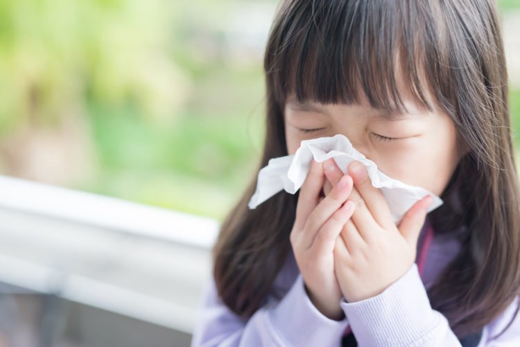 Không chủ quan với bệnh cúm mùa - ảnh 1