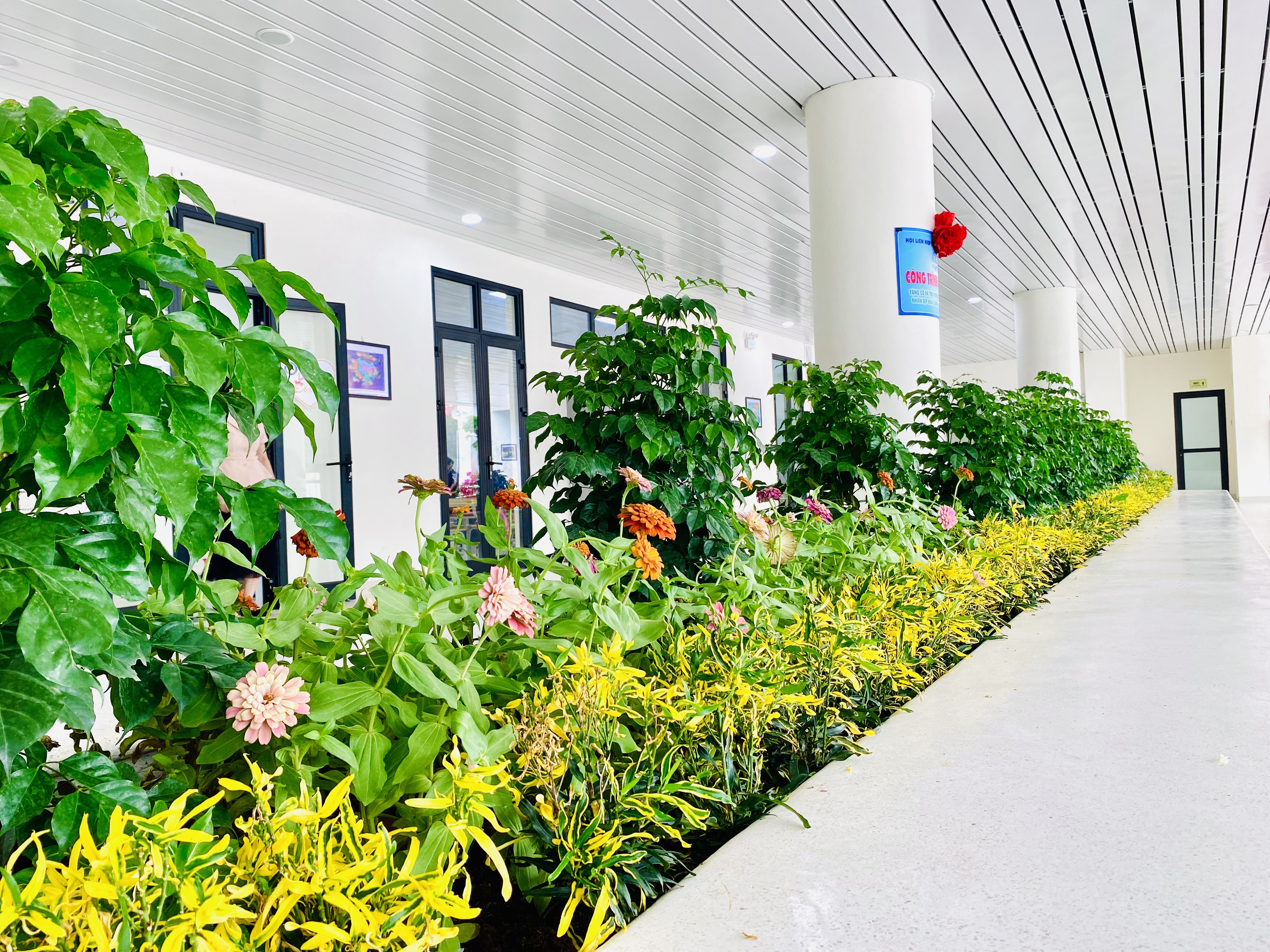 Trao tặng công trình cây xanh cho cô, trò trường Tiểu học Đống Đa - ảnh 3
