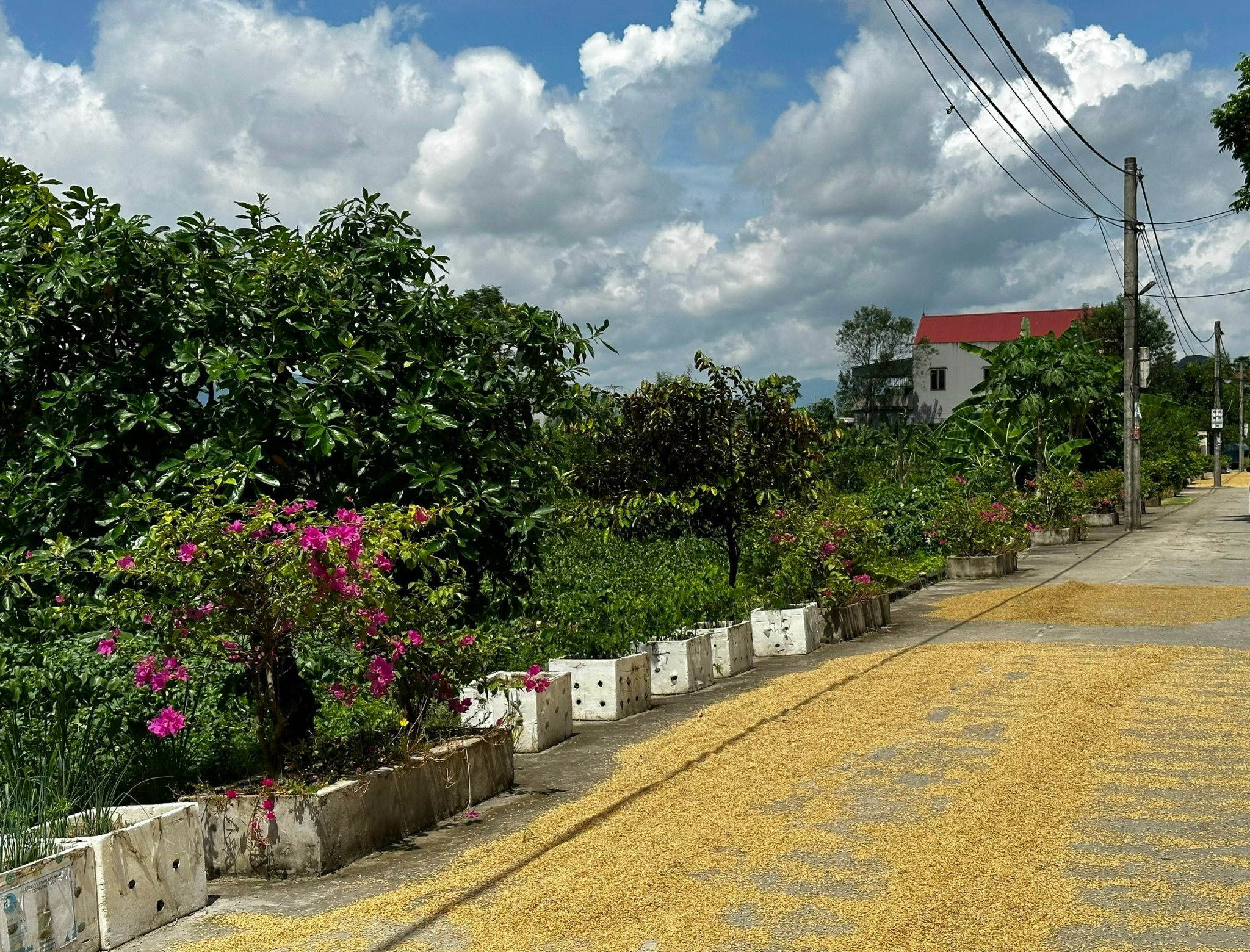 Ấn tượng những đoạn đường, tuyến phố bích họa/nở hoa của phụ nữ Thủ đô - ảnh 9