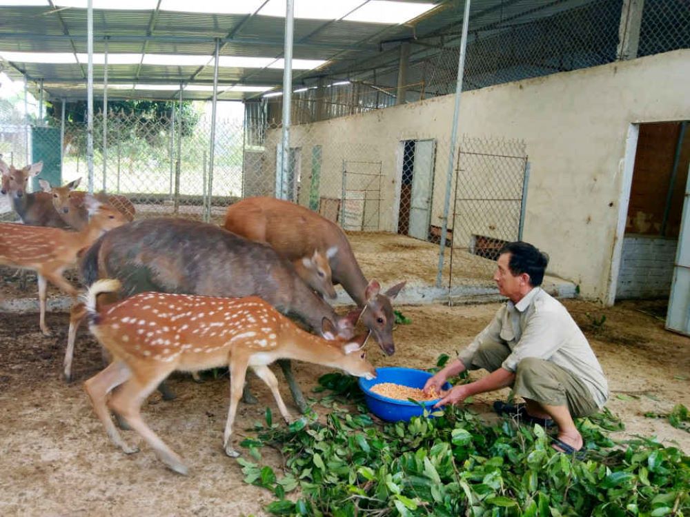 Cần sớm tháo gỡ vướng mắc để hỗ trợ hộ nghèo, cận nghèo phát triển kinh tế - ảnh 1