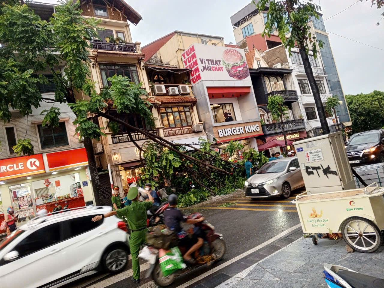 Xem xét trách nhiệm người đứng đầu tổ chức, cơ quan, đơn vị chủ quan trong phòng, chống bão - ảnh 1
