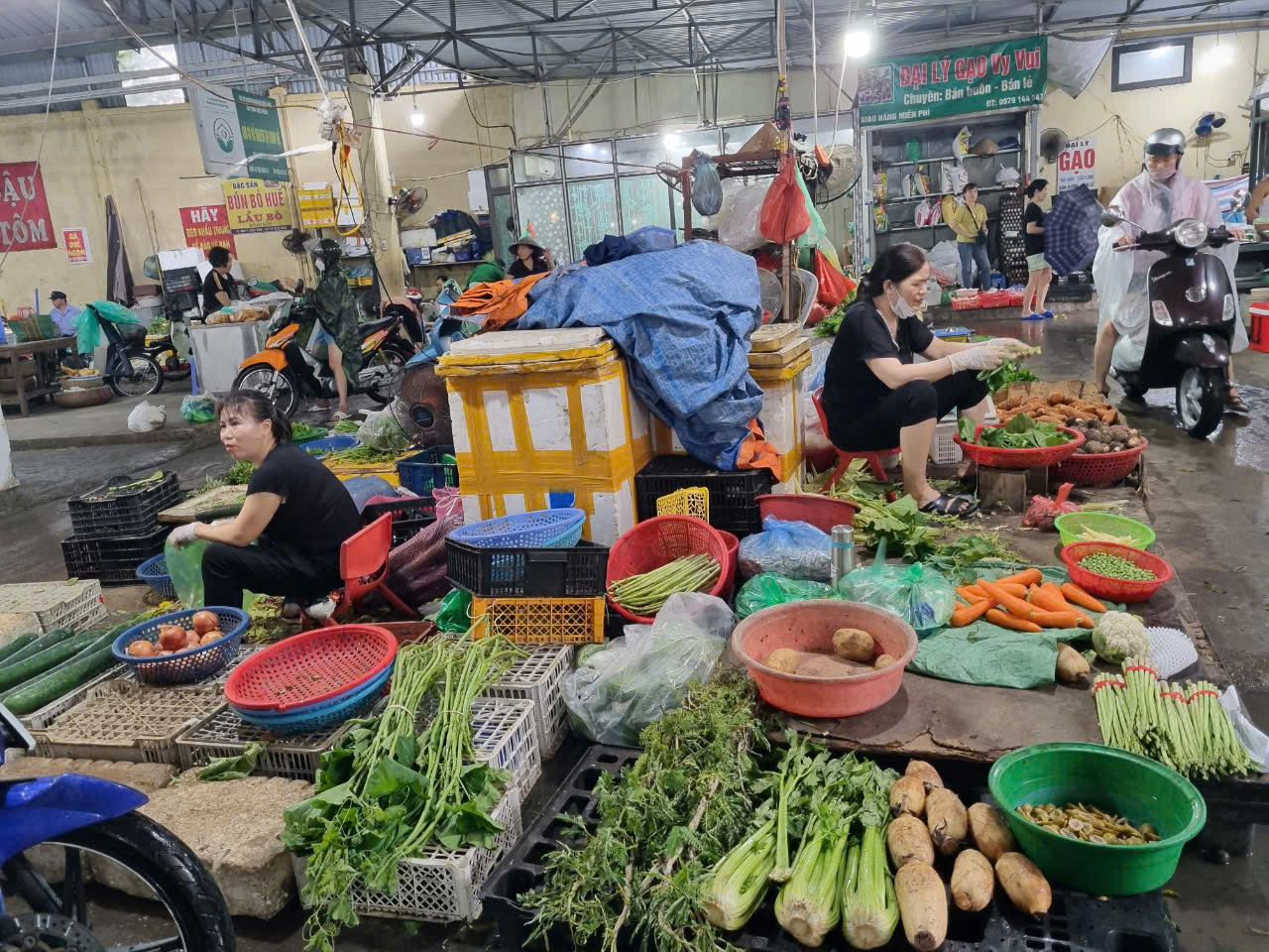 Xem xét trách nhiệm người đứng đầu tổ chức, cơ quan, đơn vị chủ quan trong phòng, chống bão - ảnh 2