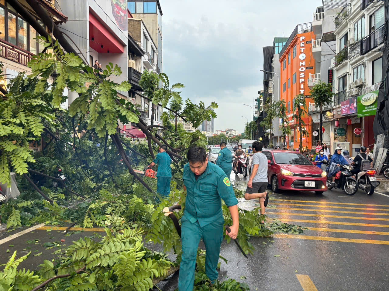 Quận Tây Hồ: Tiếp tục triển khai biện pháp khắc phục hậu quả sau bão cho nhân dân - ảnh 2