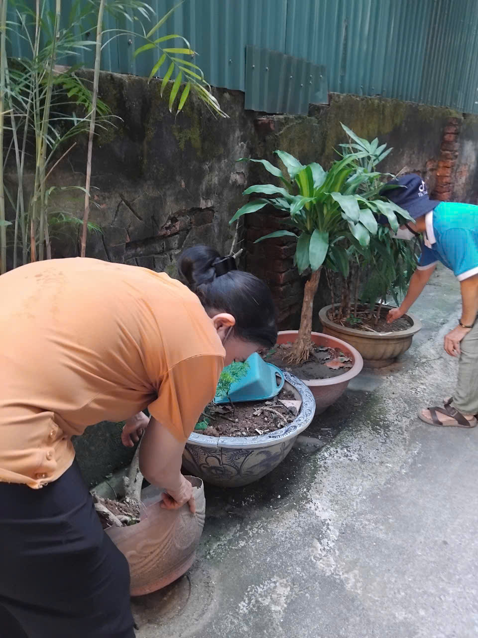 Phụ nữ Tây Hồ chung tay phòng chống sốt xuất huyết - ảnh 1