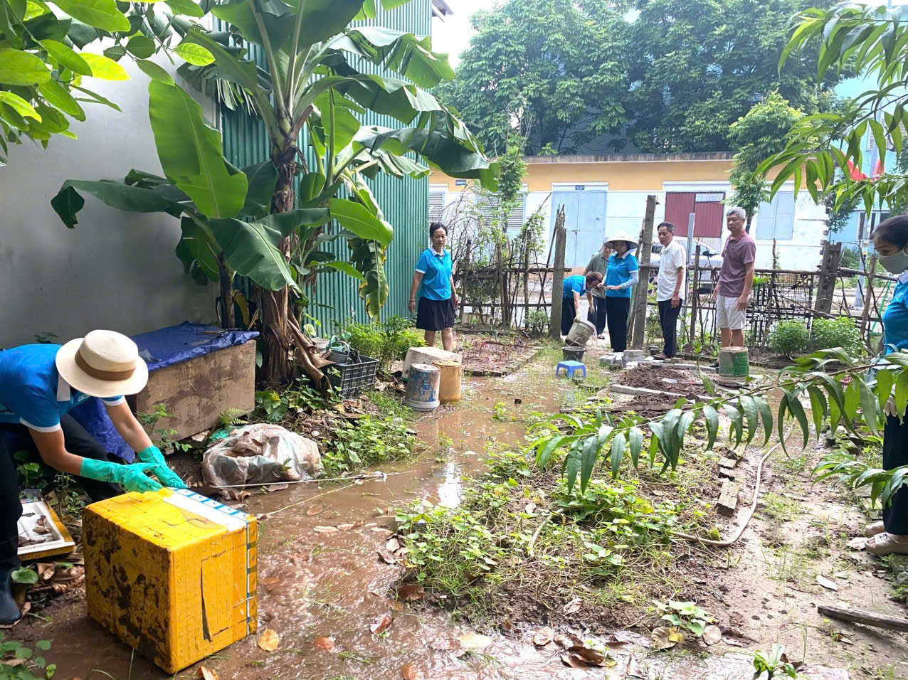Hà Nội khẩn trương triển khai công tác y tế, bảo đảm nước sạch, an toàn thực phẩm và phòng bệnh sau mưa lũ - ảnh 1