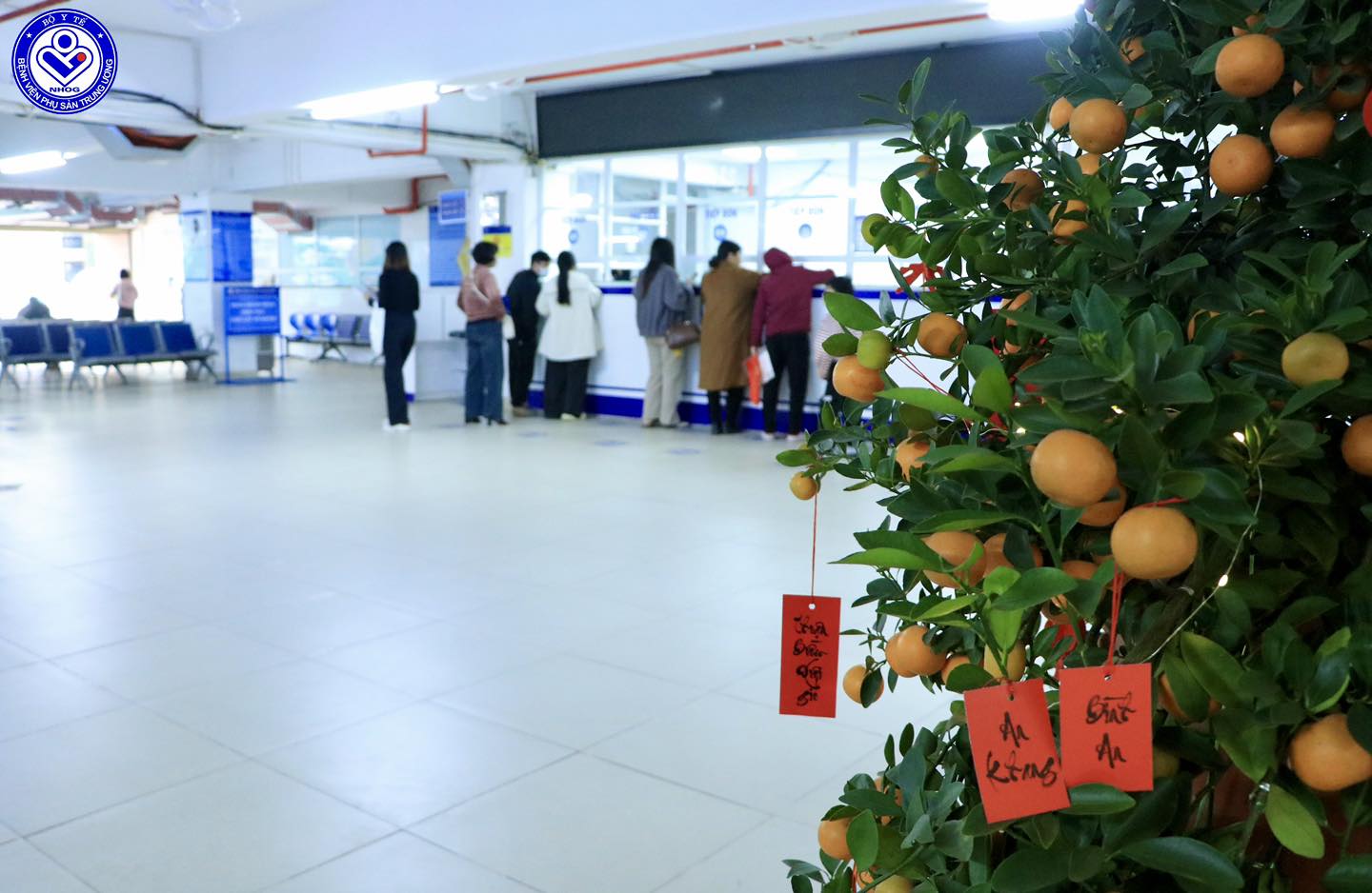 Đêm Giao thừa ấm áp tại Bệnh viện Phụ Sản Trung ương: Chào đón công dân nhí đầu tiên năm Bính Ngọ - ảnh 3