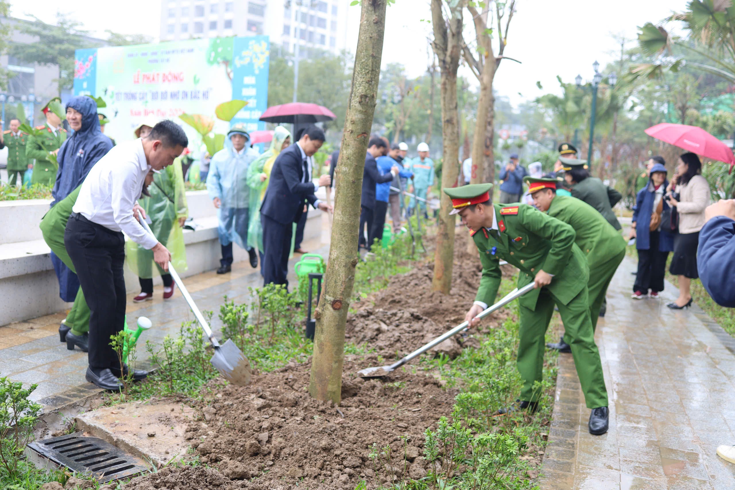 Phường Tây Hồ phát động Tết trồng cây Xuân Bính Ngọ 2026 - ảnh 2