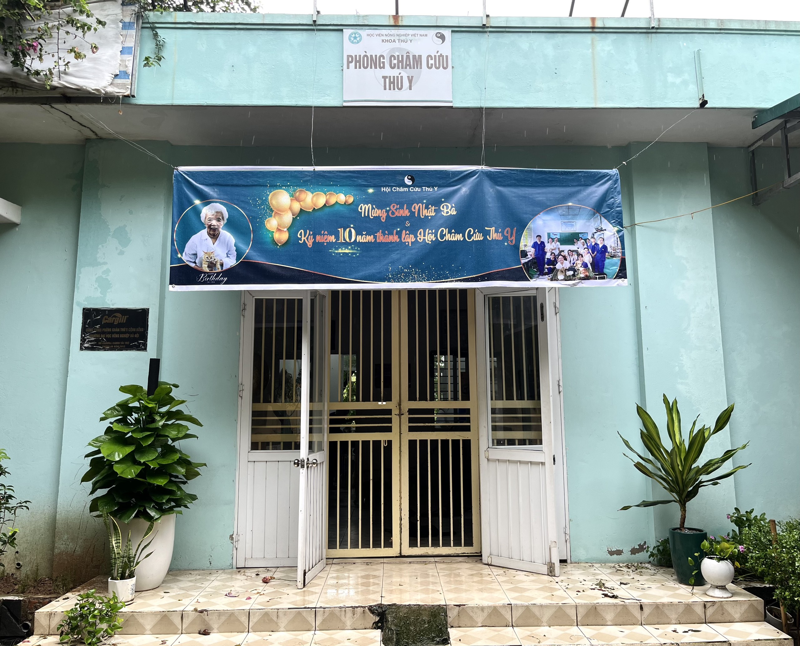 Những nữ sinh viên thực hiện công việc châm cứu cho các “bệnh nhân” đặc biệt - ảnh 3