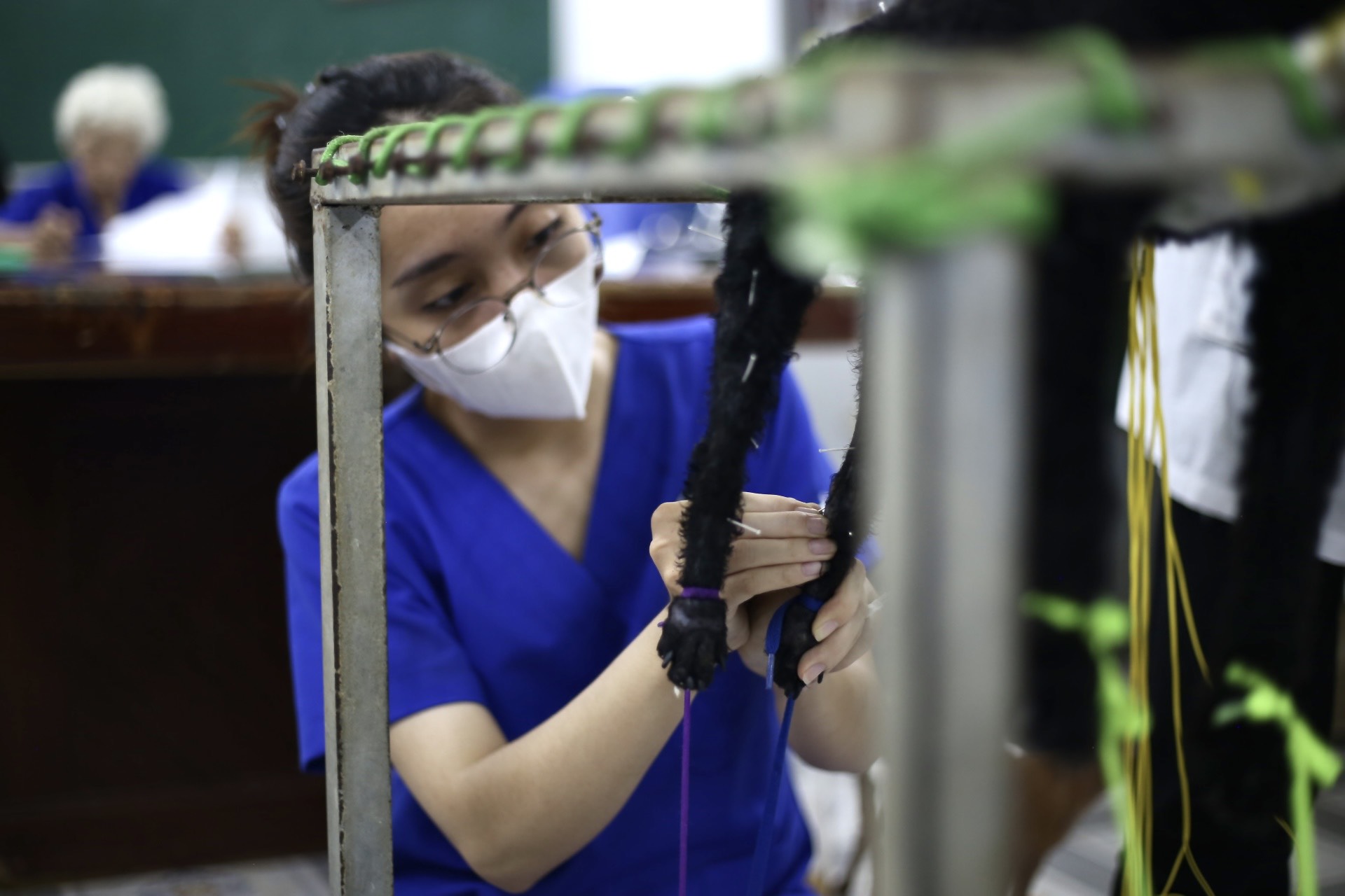 Những nữ sinh viên thực hiện công việc châm cứu cho các “bệnh nhân” đặc biệt - ảnh 4