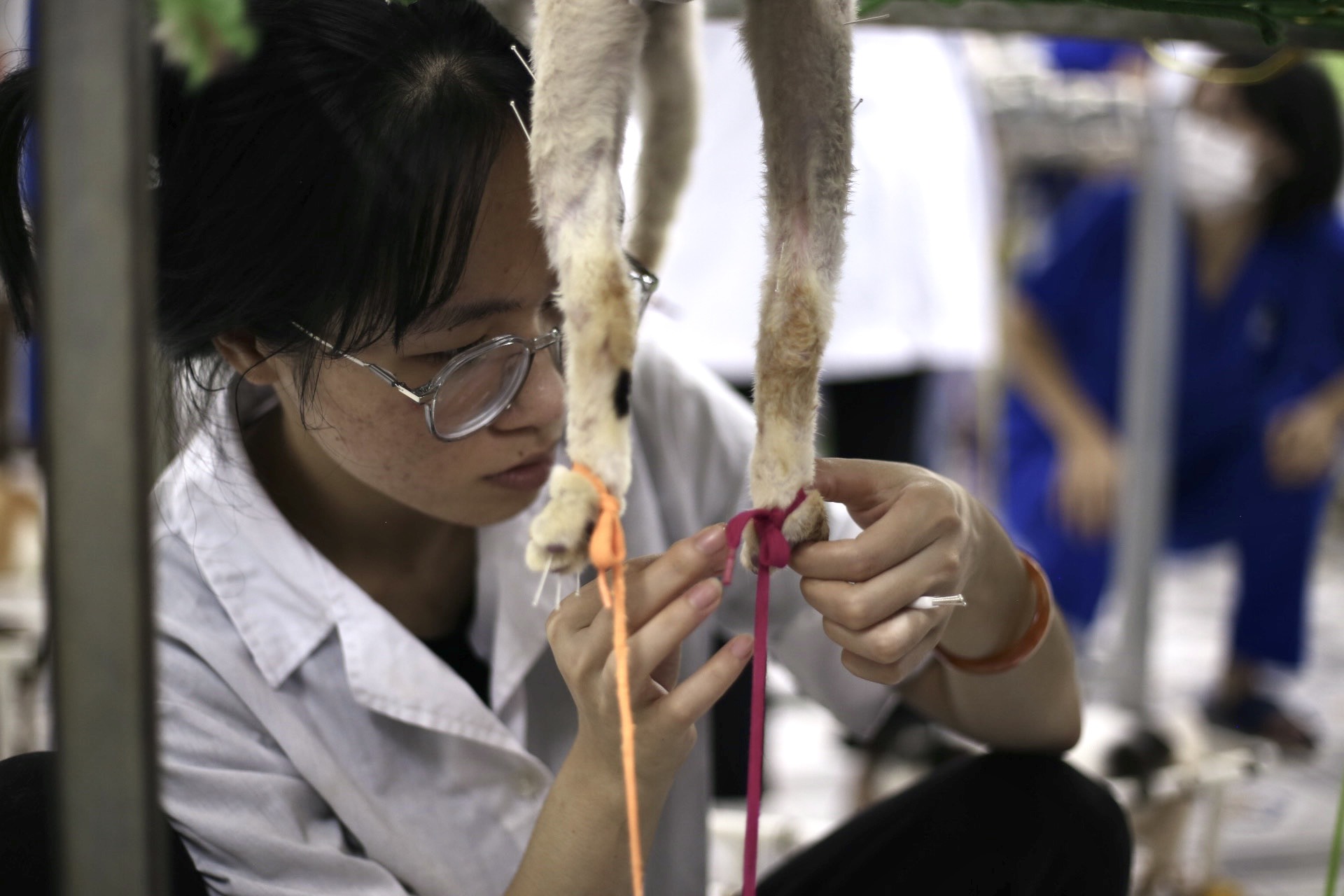 Những nữ sinh viên thực hiện công việc châm cứu cho các “bệnh nhân” đặc biệt - ảnh 5