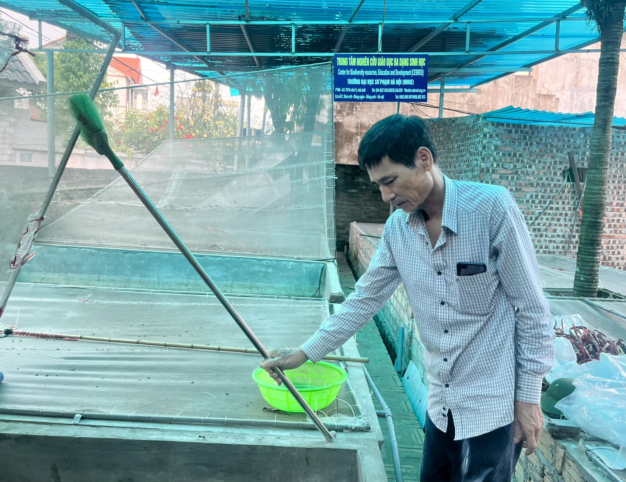 Mô hình nuôi cà cuống thu về nửa tỷ mỗi năm - ảnh 14